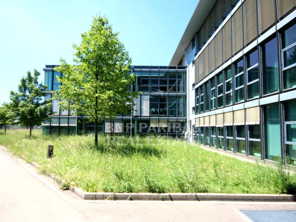 Lichtdurchflutete Büroflächen in Haar