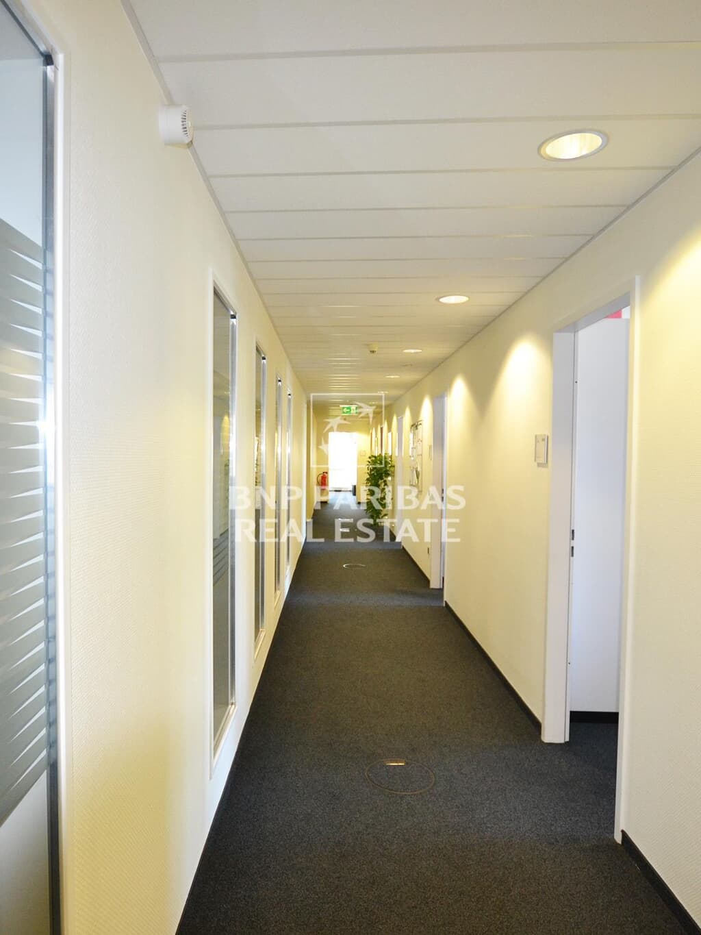 Fluransicht