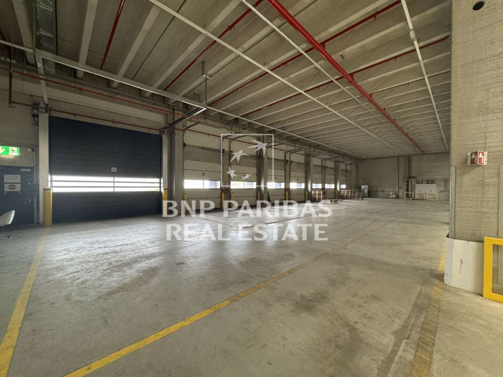 BNP Paribas Real Estate GmbH