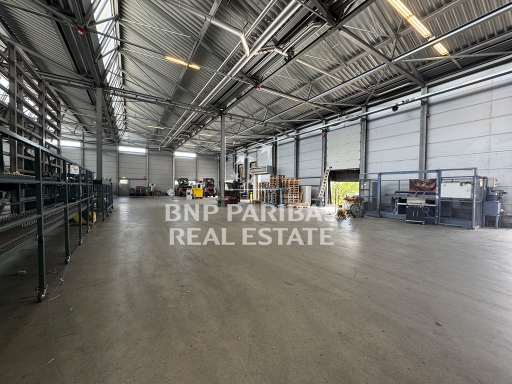 BNP Paribas Real Estate GmbH